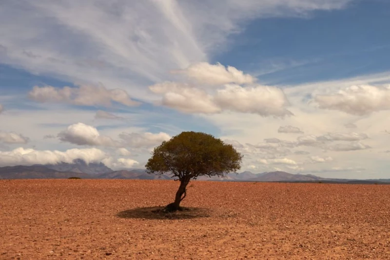 Paski klimatyczne pokazują, jak zmienia się klimat Ziemi